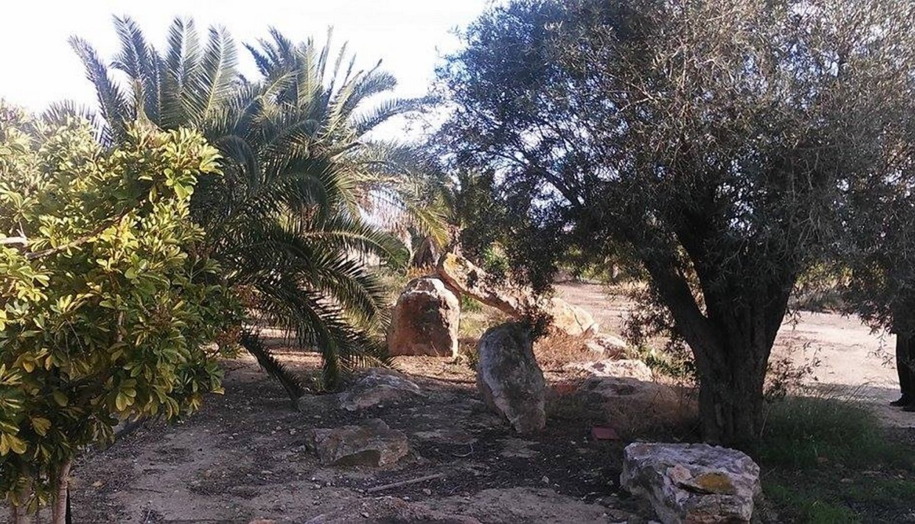 Sprzedaż - Posiadłość wiejska - Guardamar del Segura