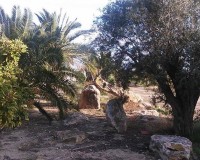 Sprzedaż - Posiadłość wiejska - Guardamar del Segura