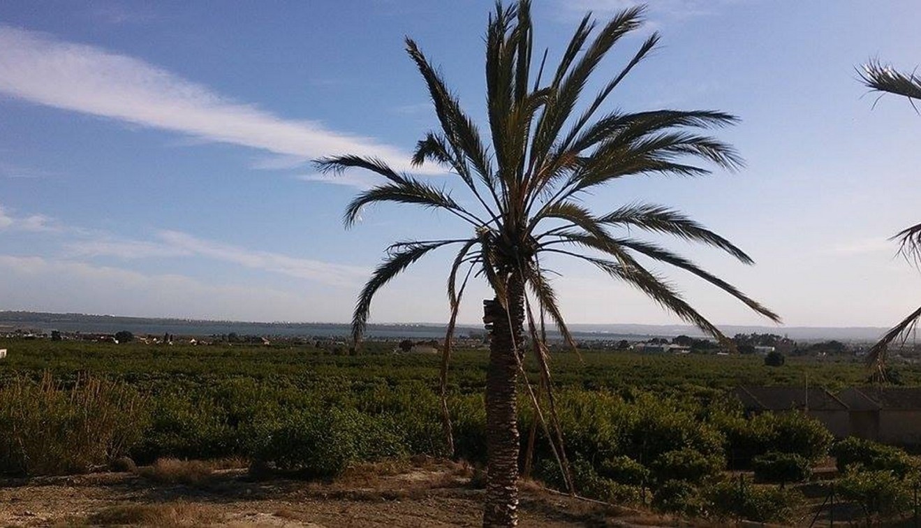 Sprzedaż - Posiadłość wiejska - Guardamar del Segura