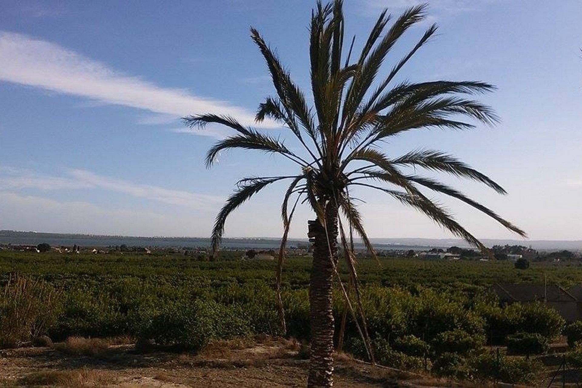 Sprzedaż - Posiadłość wiejska - Guardamar del Segura