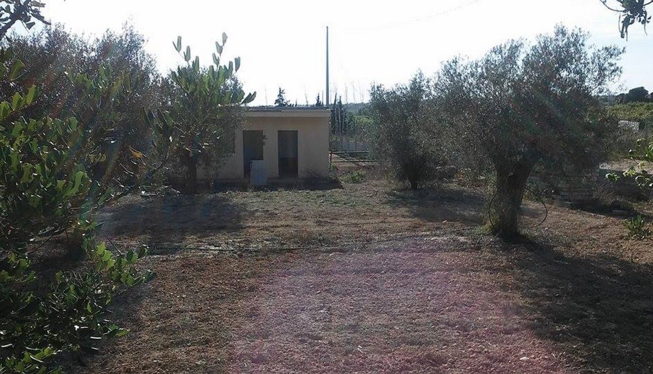 Sprzedaż - Posiadłość wiejska - Guardamar del Segura