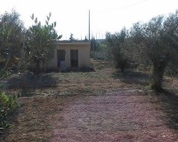 Sprzedaż - Posiadłość wiejska - Guardamar del Segura