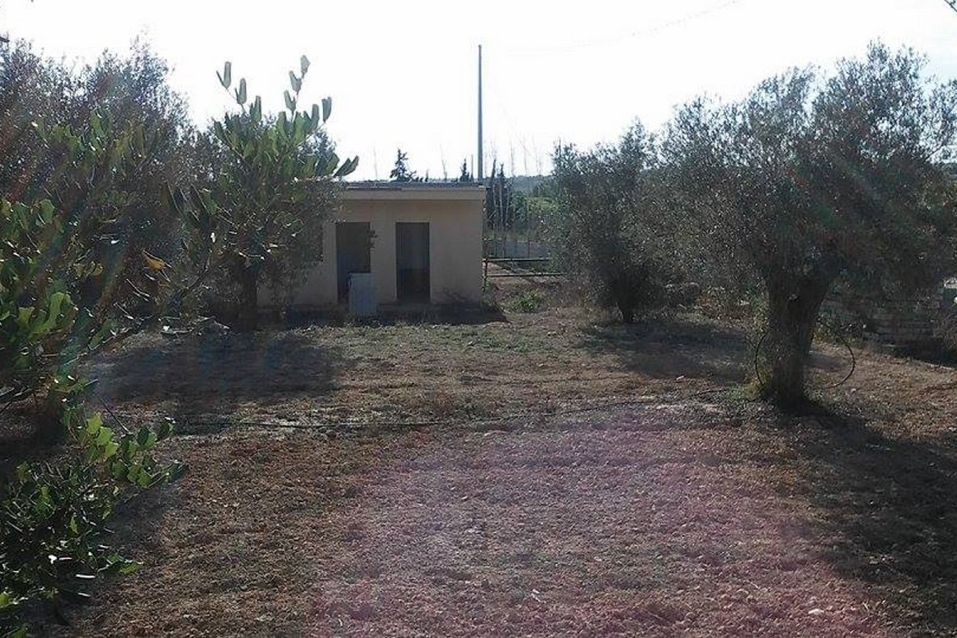 Sprzedaż - Posiadłość wiejska - Guardamar del Segura