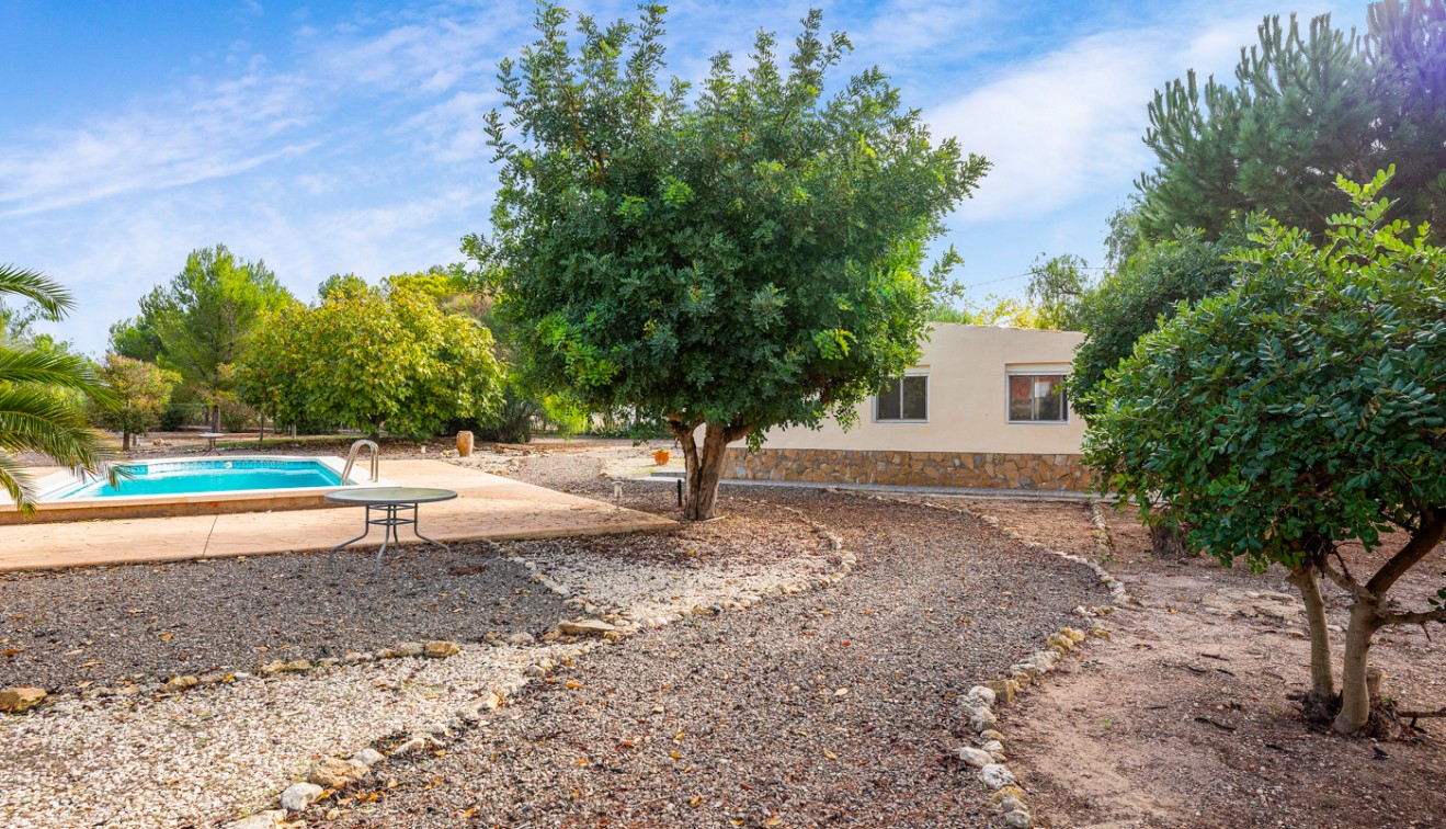 Sprzedaż - Posiadłość wiejska - Sax