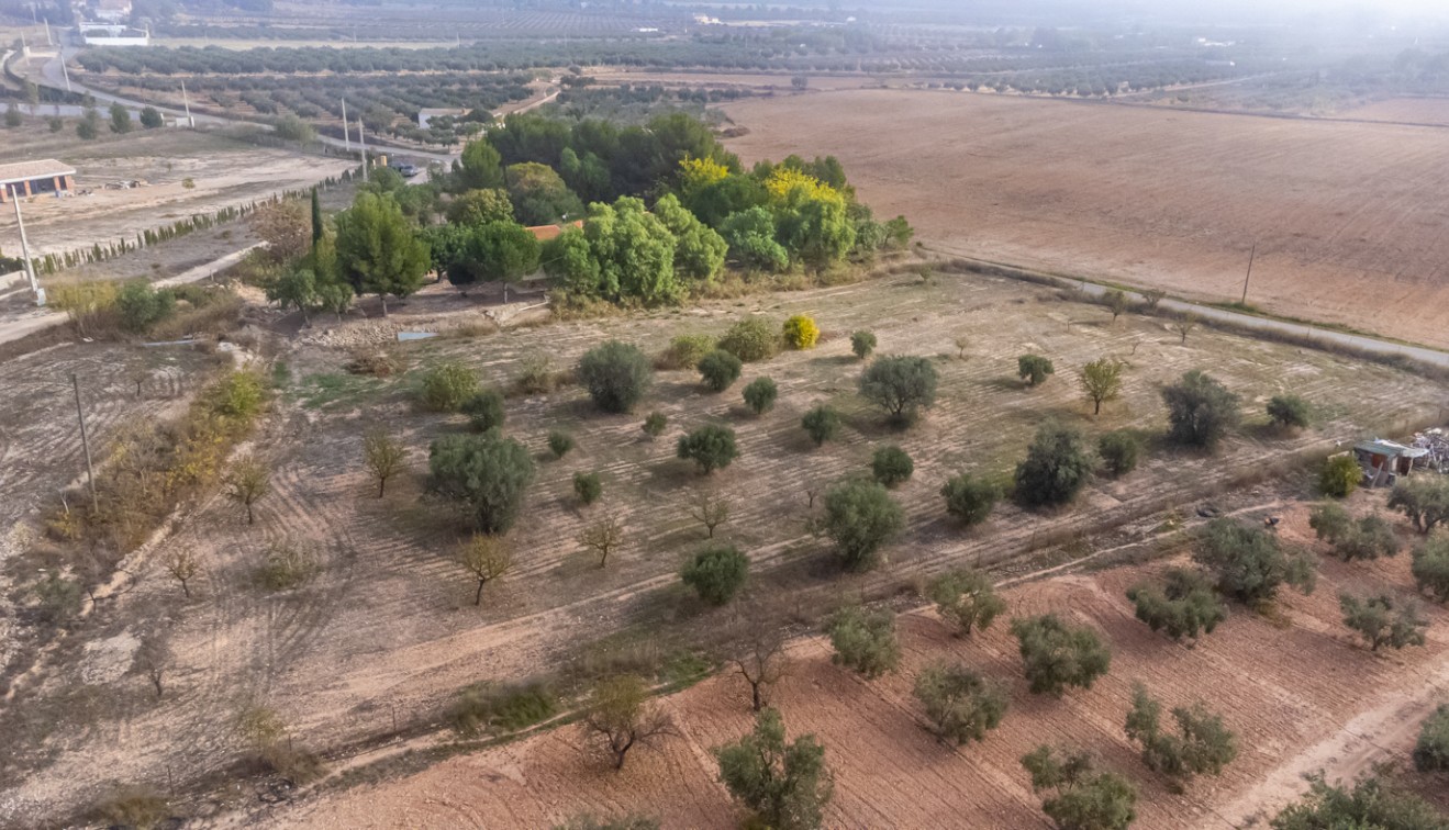 Sprzedaż - Posiadłość wiejska - Sax