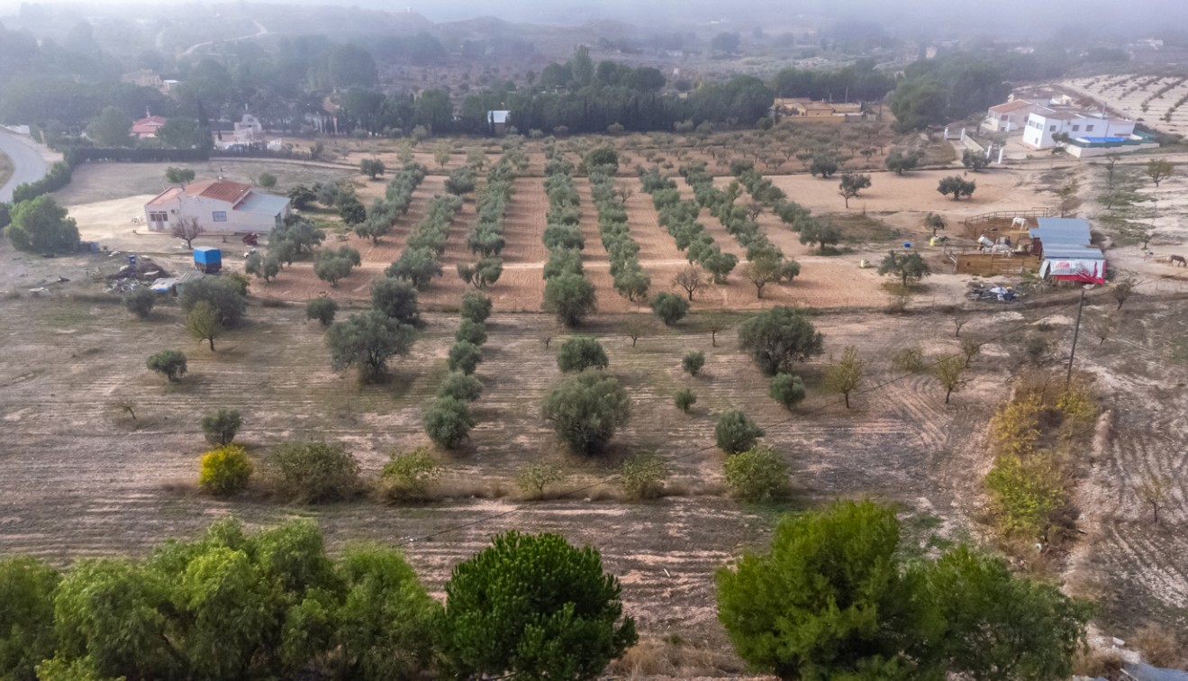 Sprzedaż - Posiadłość wiejska - Sax