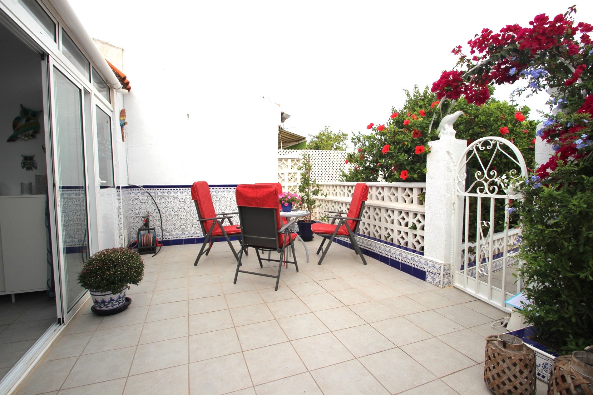 Sprzedaż -  - Torrevieja