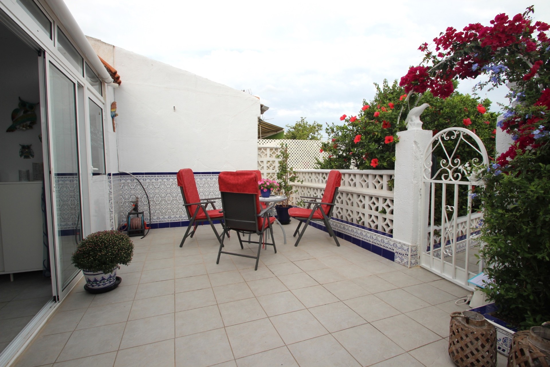 Sprzedaż -  - Torrevieja