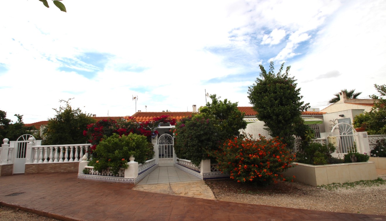 Sprzedaż -  - Torrevieja