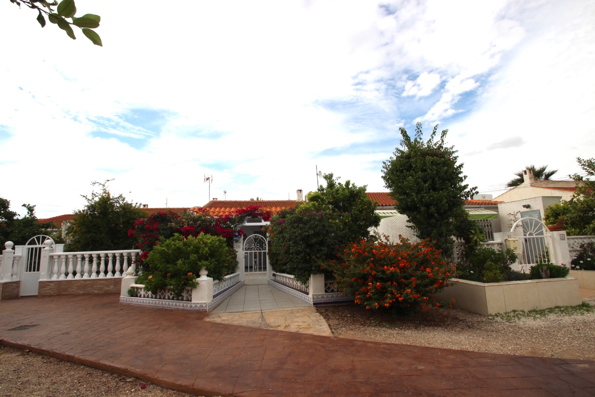 Sprzedaż -  - Torrevieja