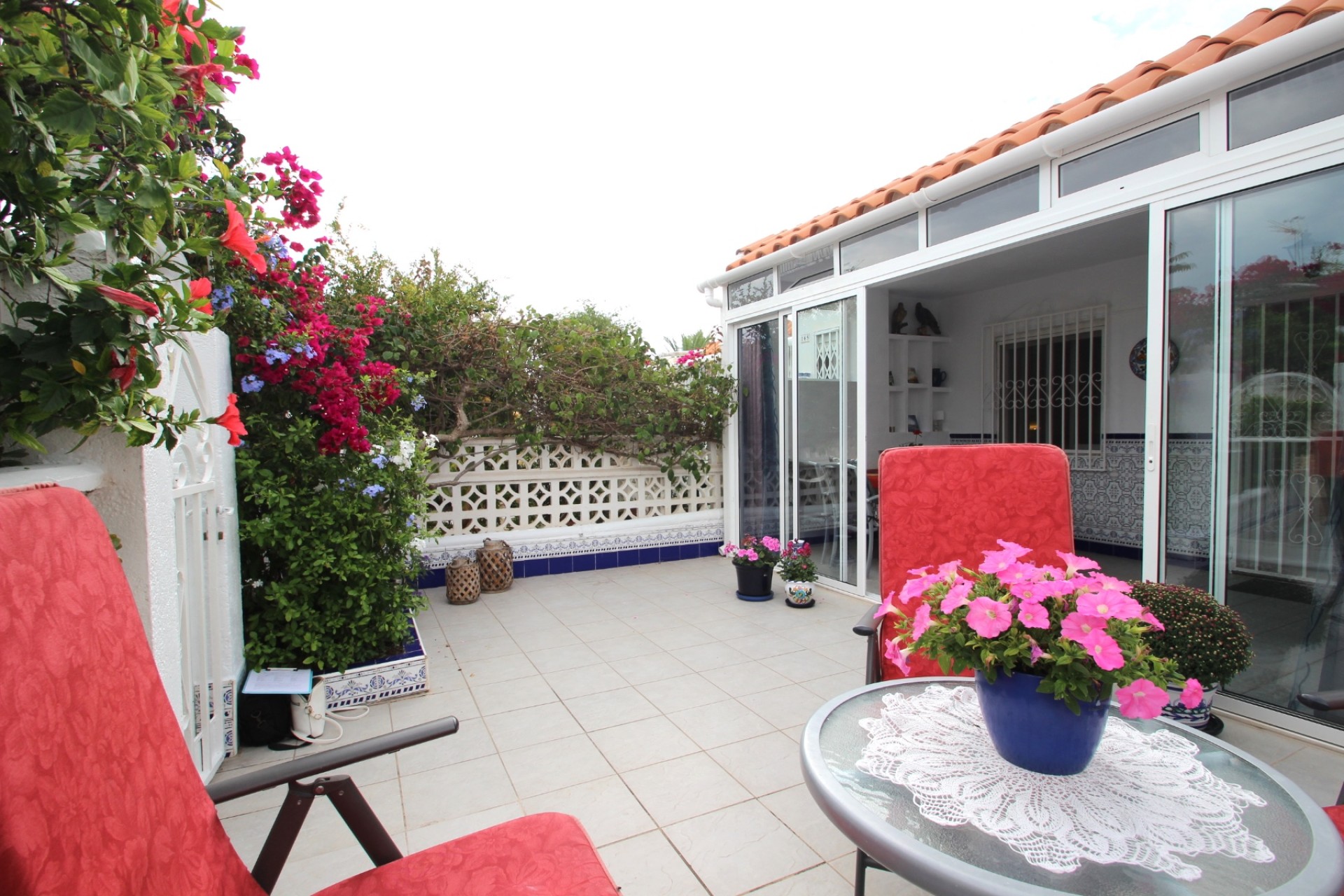 Sprzedaż -  - Torrevieja