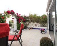 Sprzedaż -  - Torrevieja