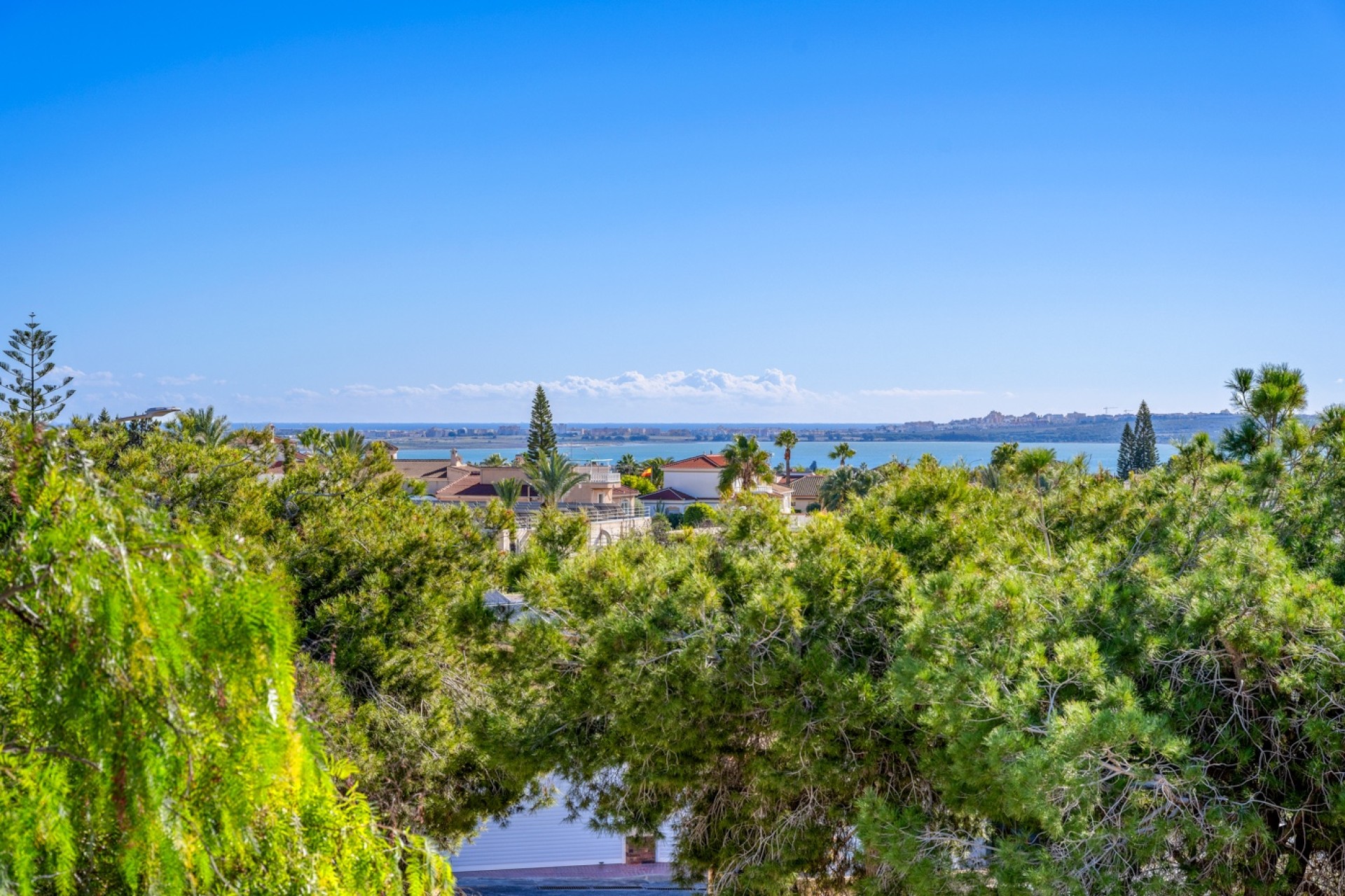 Sprzedaż - Willa - Ciudad Quesada - Rojales - Rojales