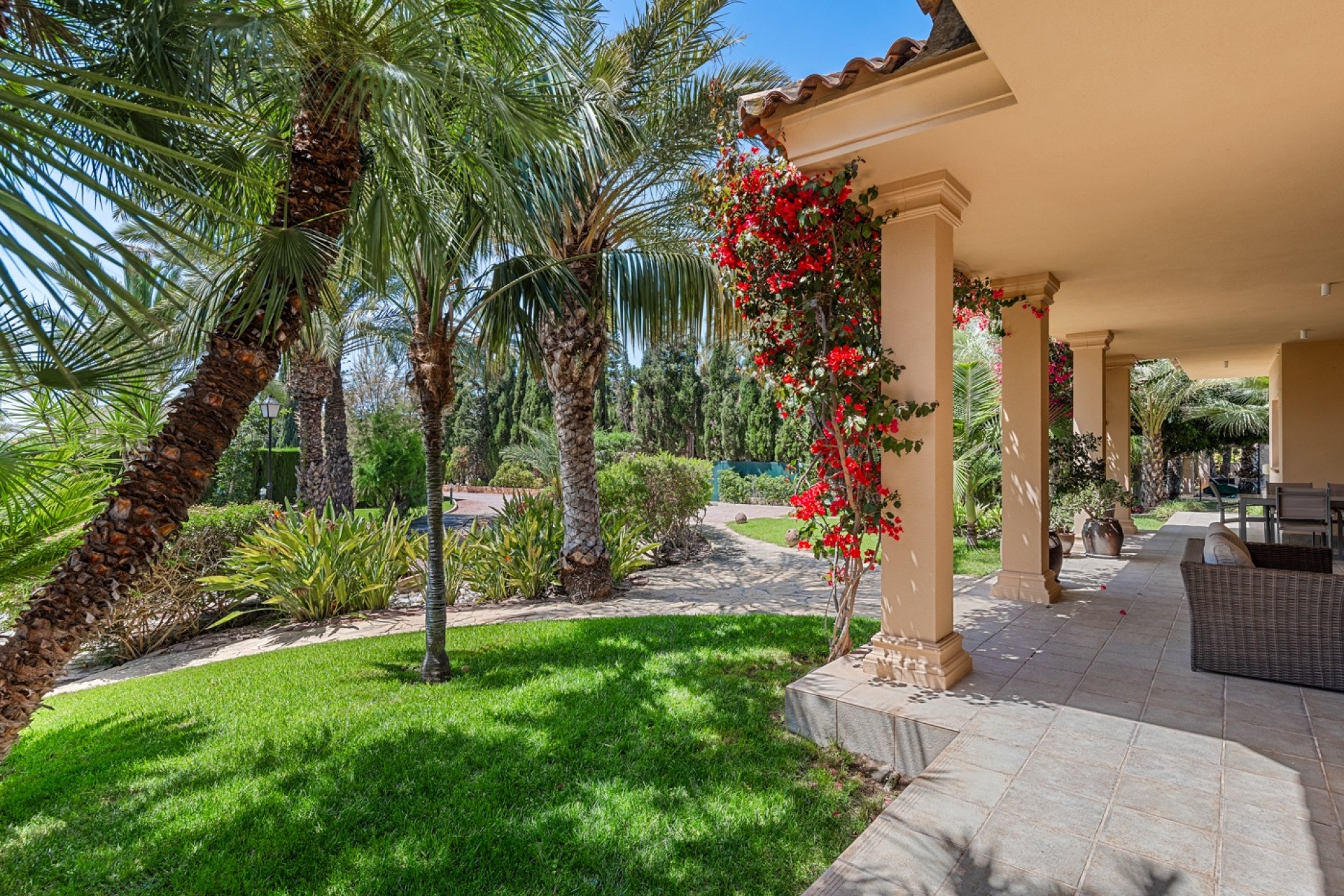 Sprzedaż - Willa - Elche/Elx