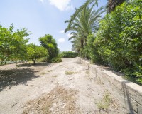 Sprzedaż - Willa - Elche/Elx