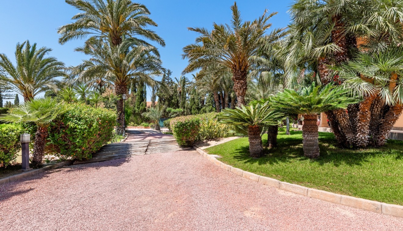 Venta - Chalet - Elche/Elx