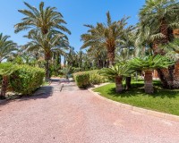 Venta - Chalet - Elche/Elx