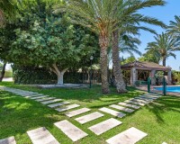 Venta - Chalet - Elche/Elx