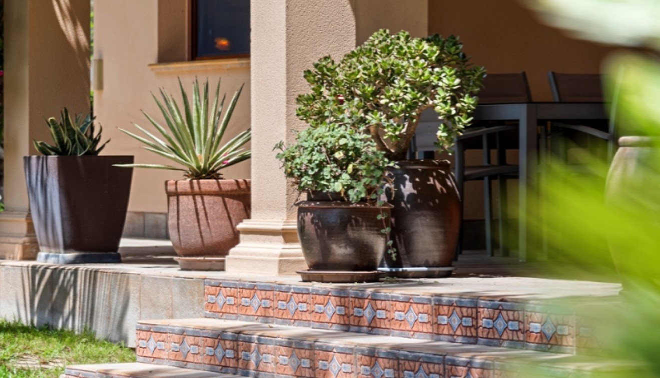 Venta - Chalet - Elche/Elx