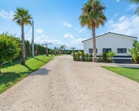 Venta - Chalet - Elche/Elx