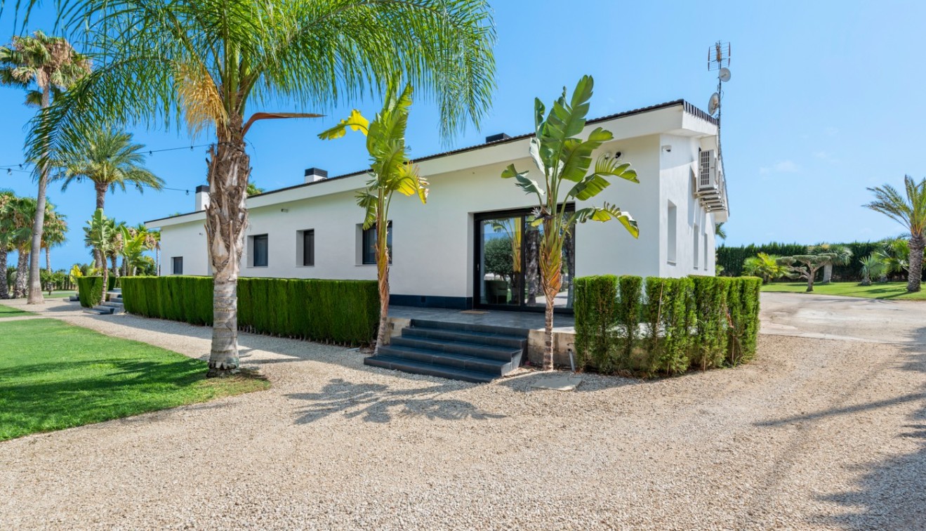 Venta - Chalet - Elche/Elx