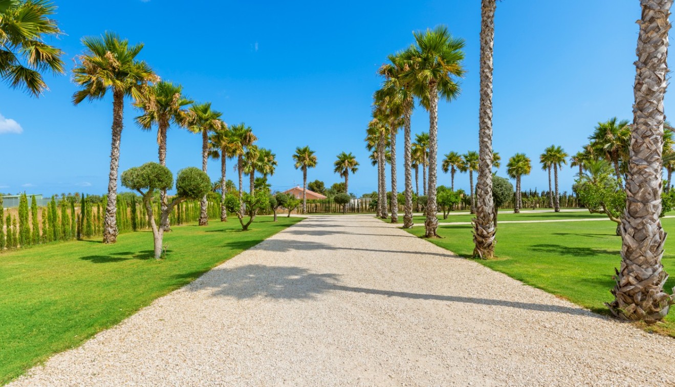 Venta - Chalet - Elche/Elx