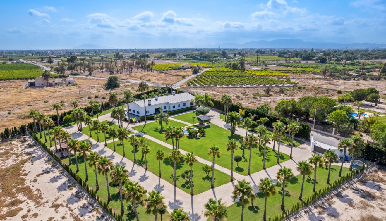 Venta - Chalet - Elche/Elx