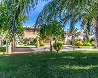 Venta - Chalet - Elche/Elx