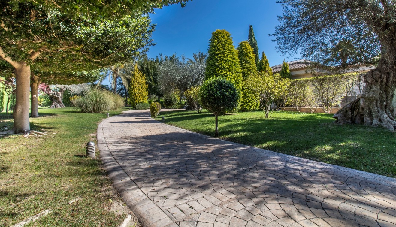 Venta - Chalet - Elche/Elx