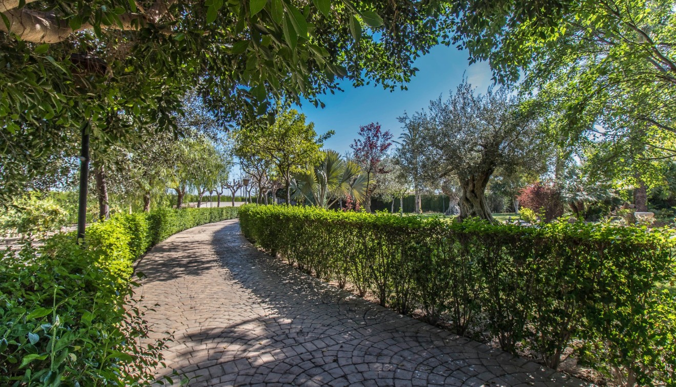 Venta - Chalet - Elche/Elx