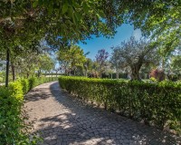 Venta - Chalet - Elche/Elx