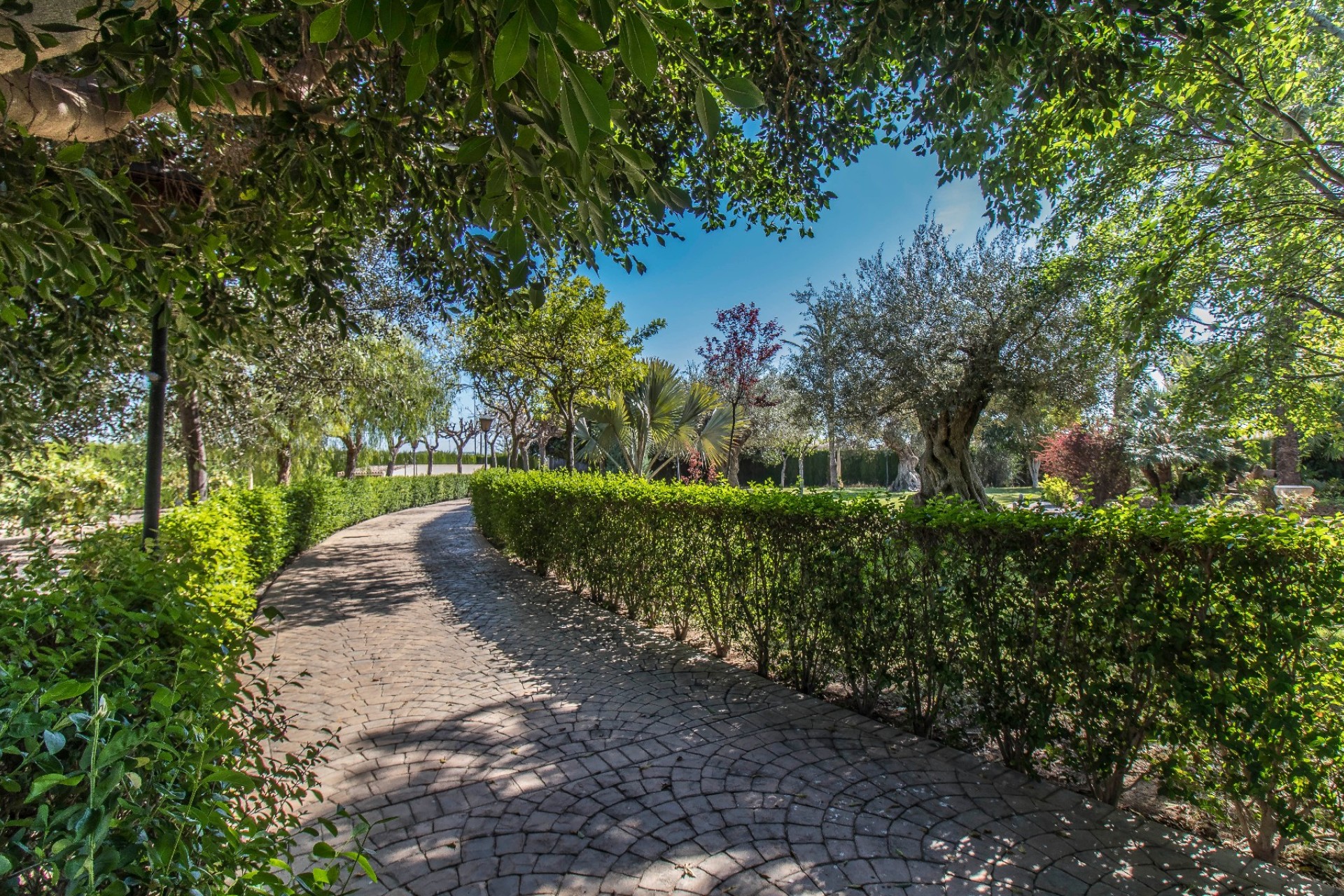 Venta - Chalet - Elche/Elx