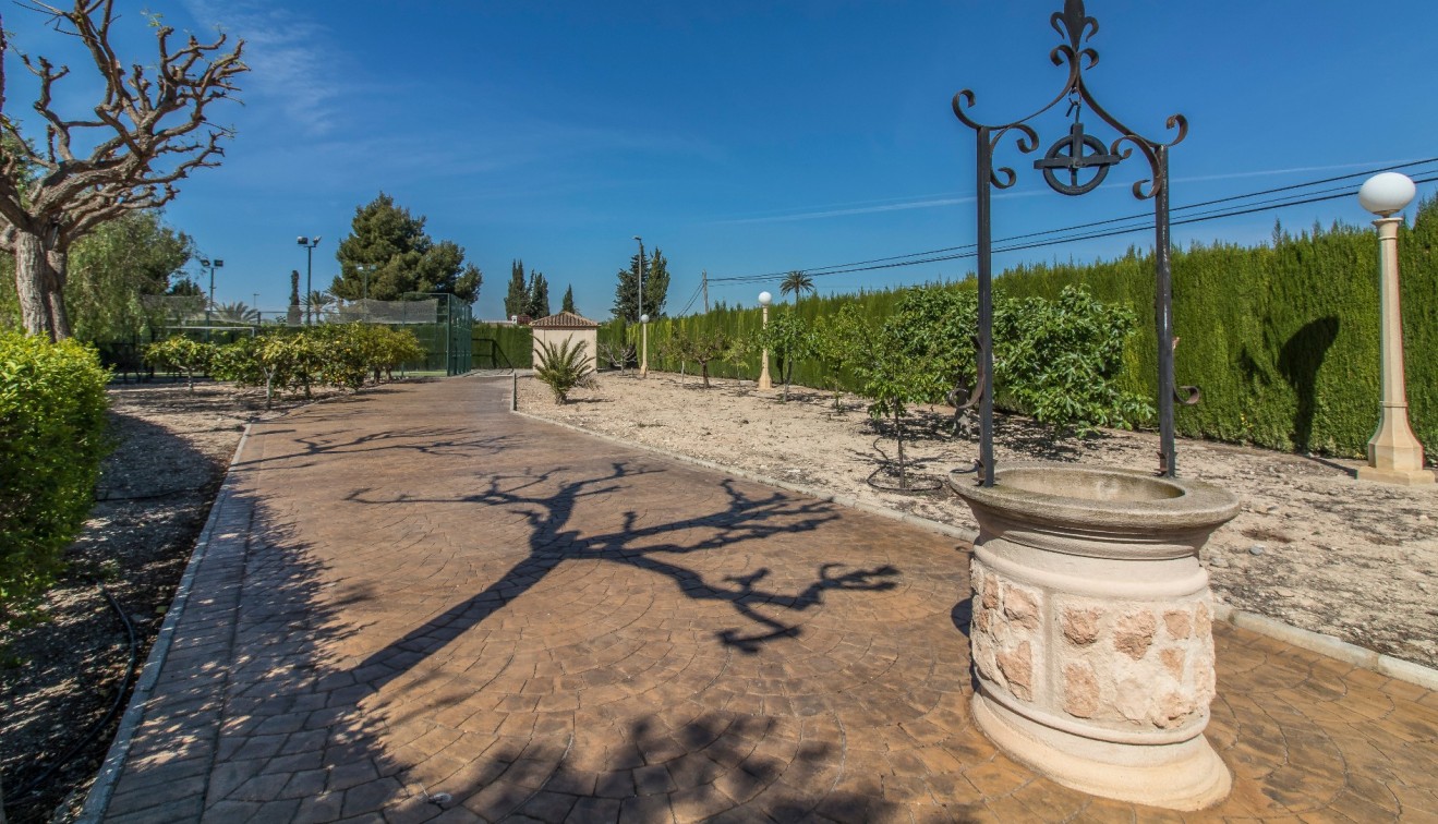 Venta - Chalet - Elche/Elx