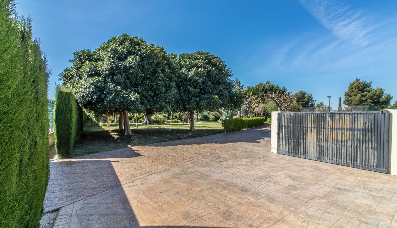 Venta - Chalet - Elche/Elx