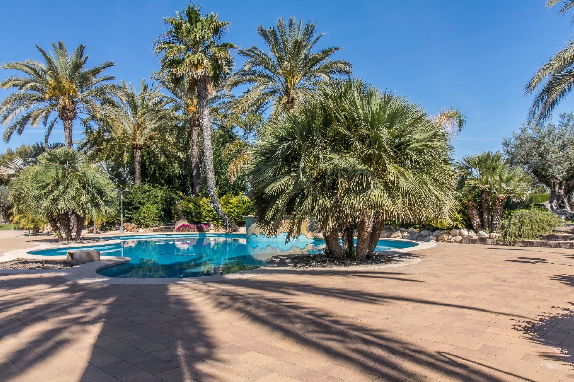 Venta - Chalet - Elche/Elx