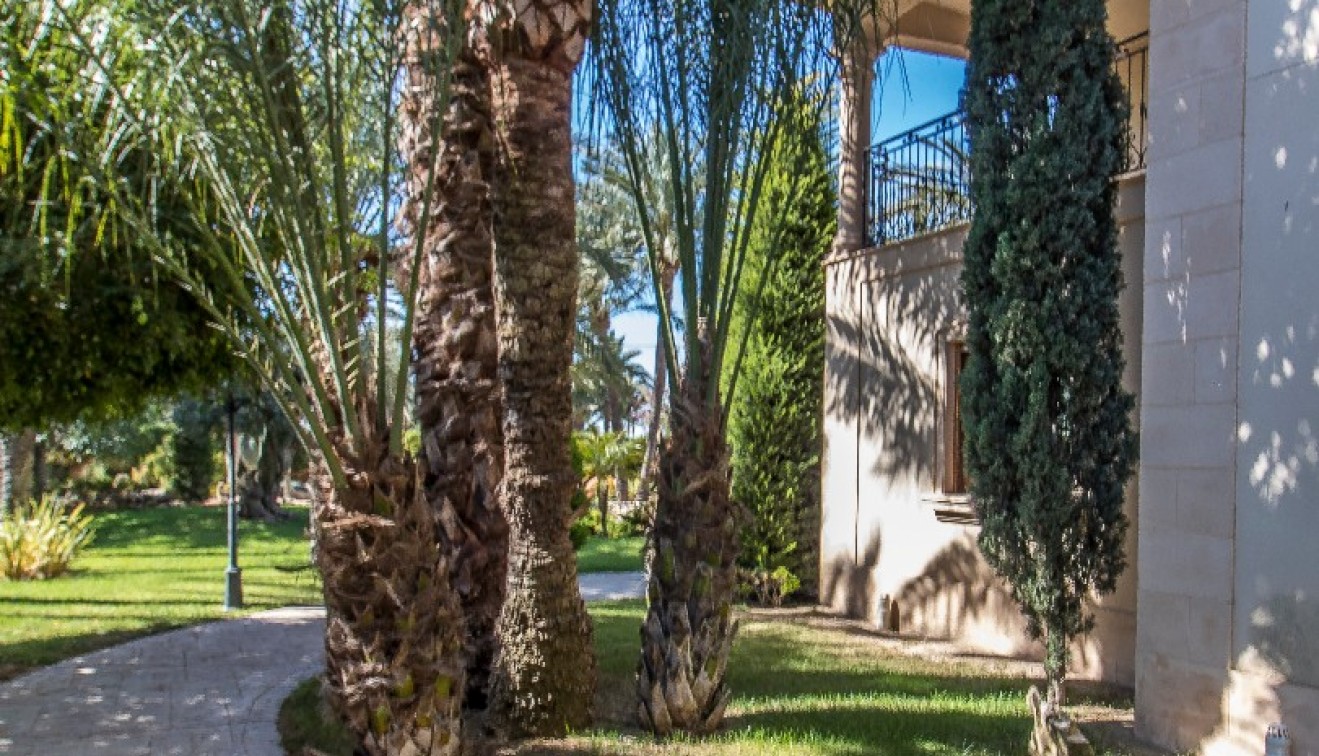 Venta - Chalet - Elche/Elx