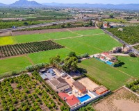 Venta - Finca - Almoradí - Las Heredades