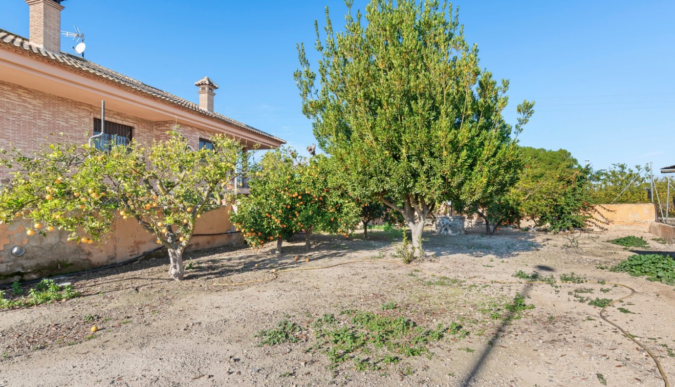 Venta - Finca - Beniel - Carretera de Beniel