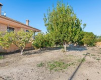 Venta - Finca - Beniel - Carretera de Beniel