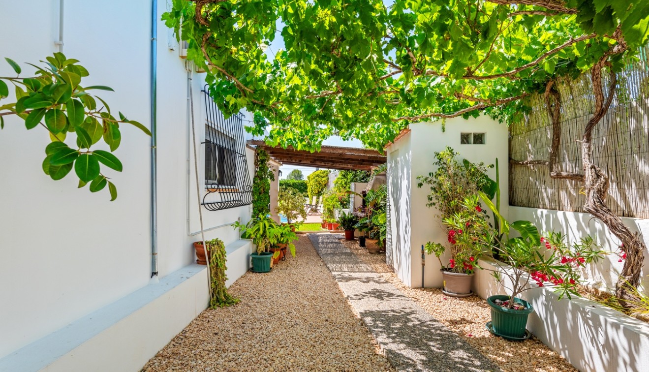 Venta - Finca - Benijófar