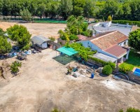 Venta - Finca - Benijófar