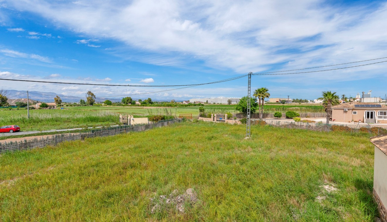 Venta - Finca - Callosa del Segura - Callosa De Segura