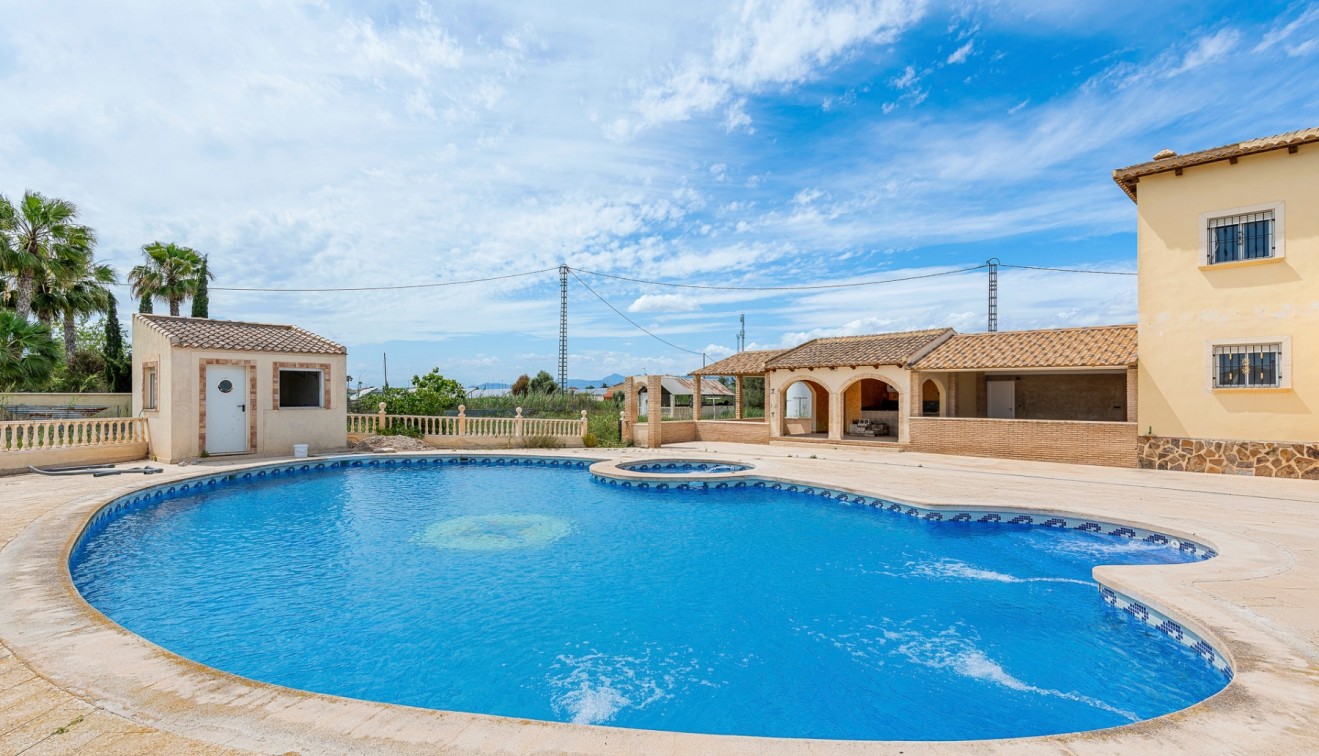 Venta - Finca - Callosa del Segura - Callosa De Segura