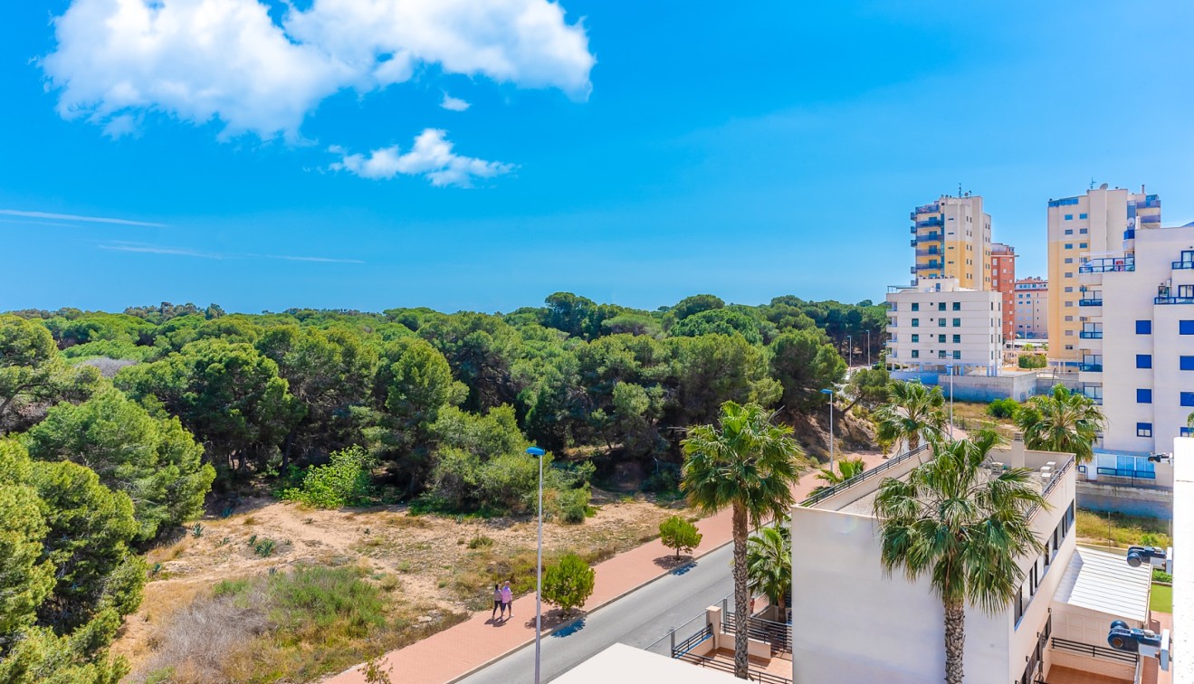 Venta - Piso - Guardamar del Segura