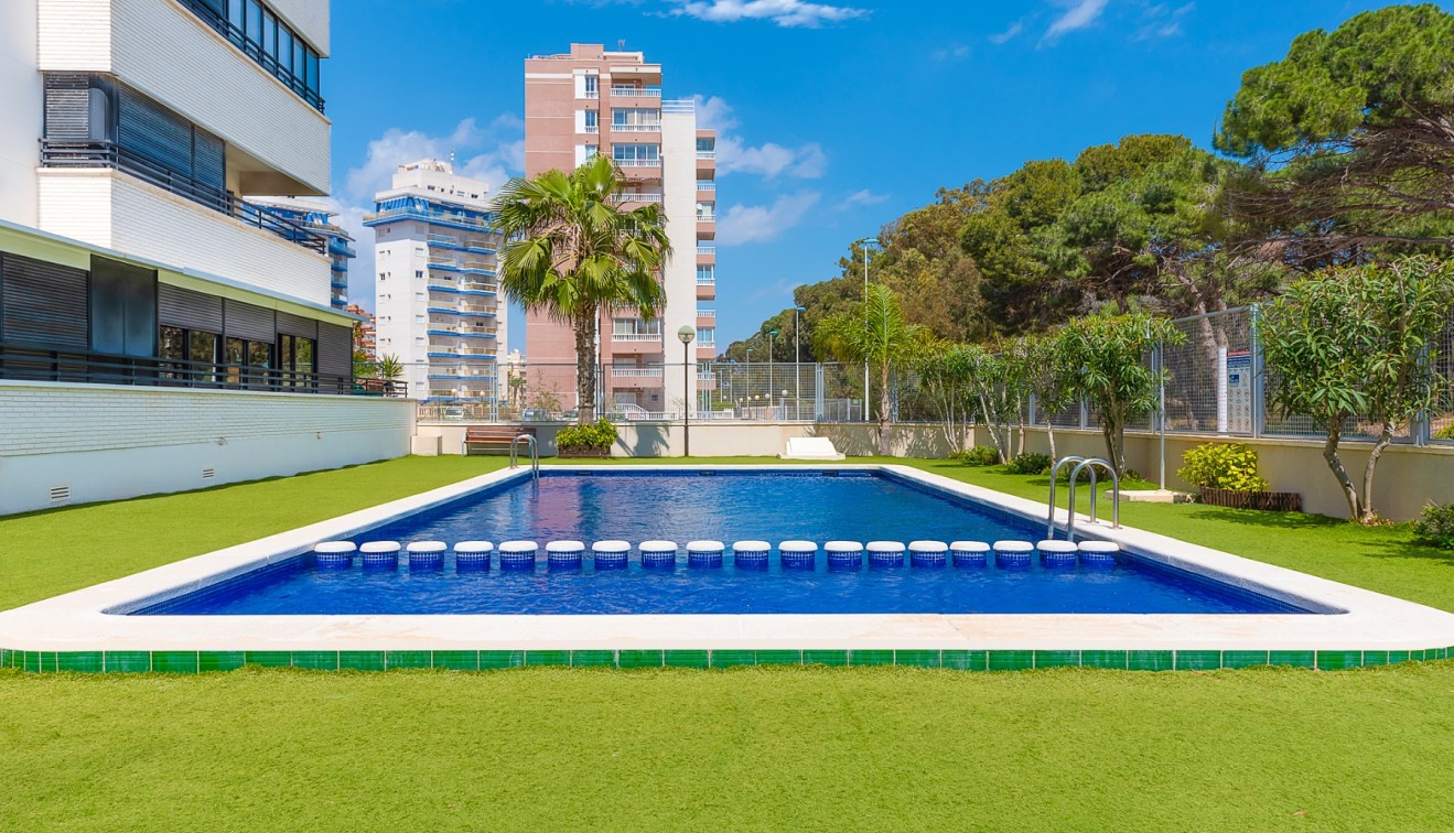 Venta - Piso - Guardamar del Segura