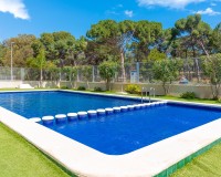 Venta - Piso - Guardamar del Segura