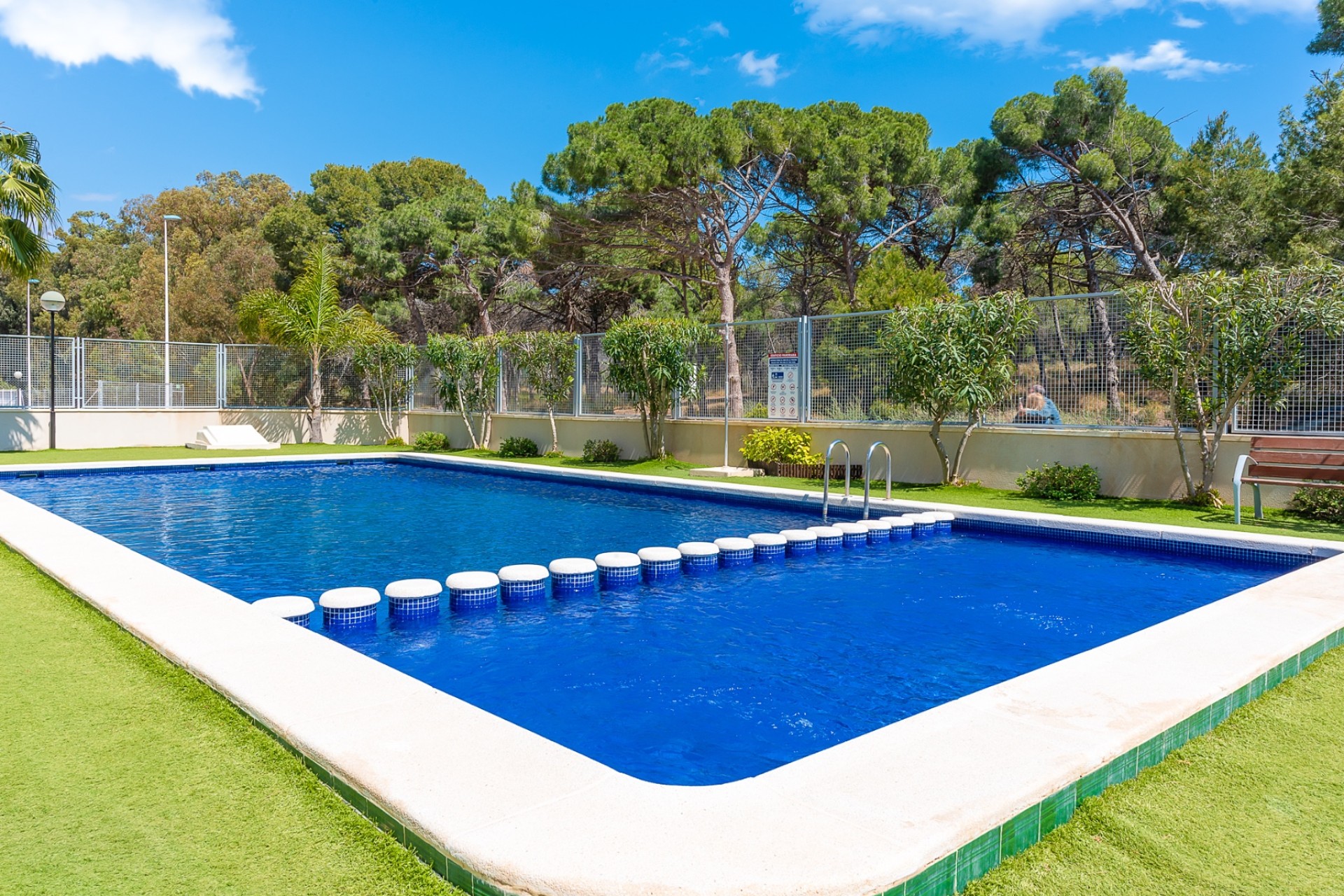 Venta - Piso - Guardamar del Segura