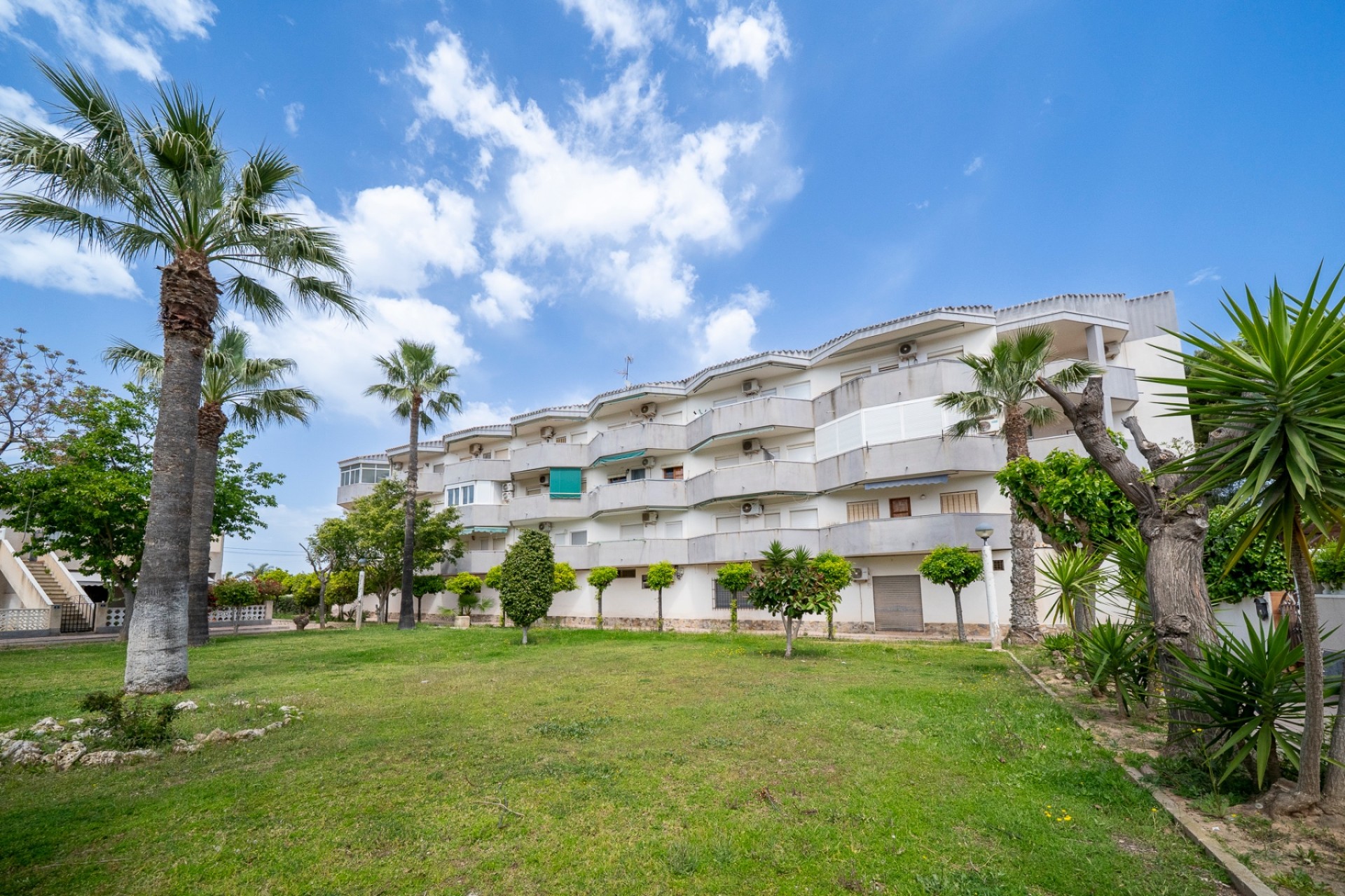 Venta - Piso - Orihuela costa - Cabo Roig