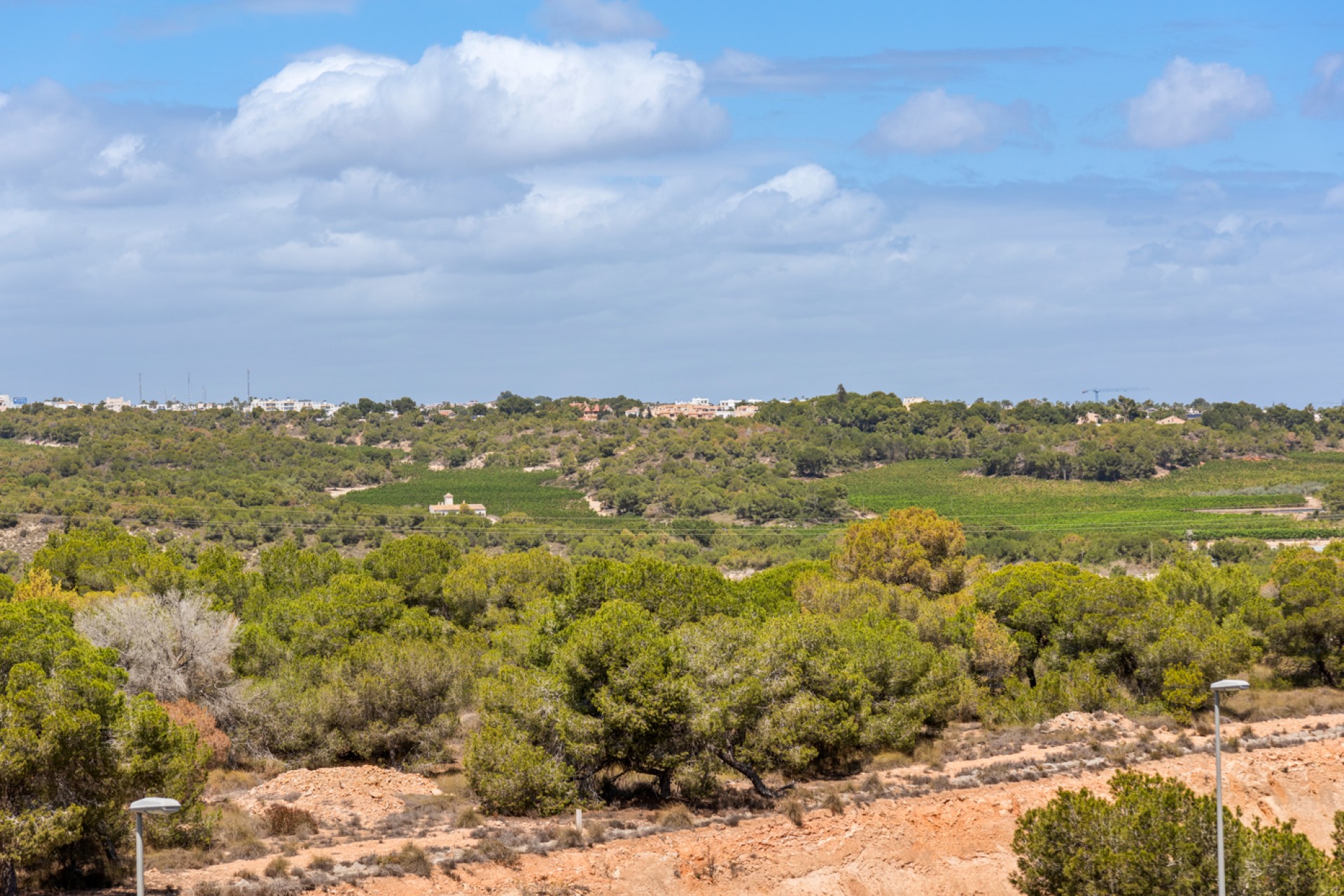 Venta - Piso - Orihuela costa - Campoamor