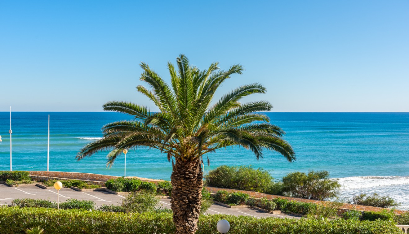 Venta - Piso - Orihuela costa - Mil Palmeras